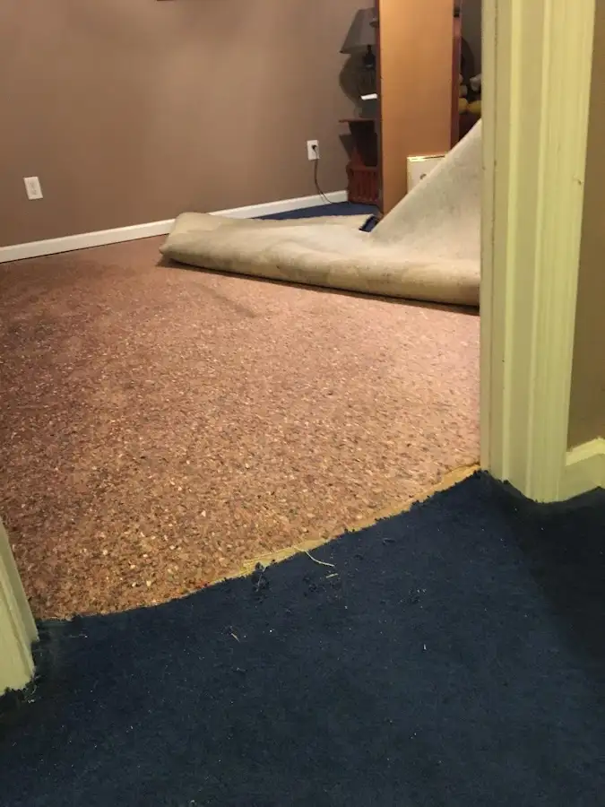 Carpet pad removal revealing water damage during Drying & Dehumidification in State College